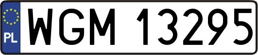 WGM13295