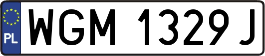 WGM1329J