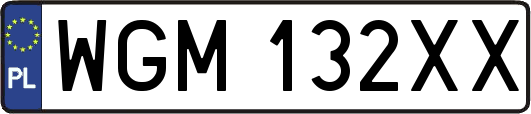 WGM132XX
