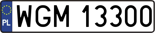 WGM13300