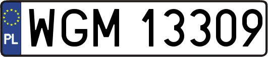 WGM13309