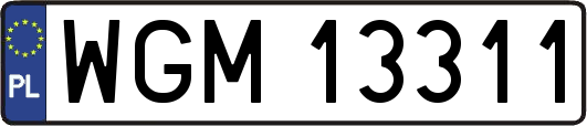 WGM13311