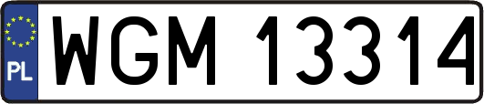 WGM13314