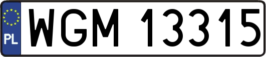 WGM13315