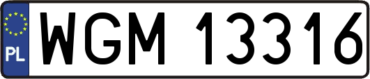 WGM13316