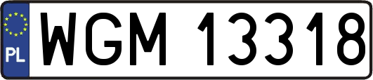 WGM13318