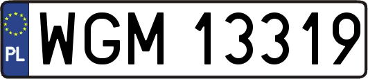 WGM13319