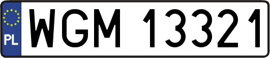 WGM13321