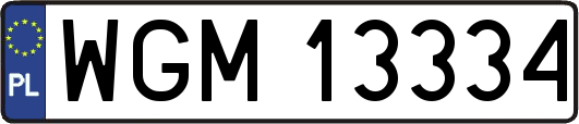 WGM13334