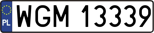 WGM13339
