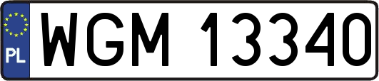 WGM13340