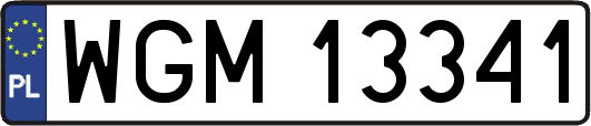 WGM13341