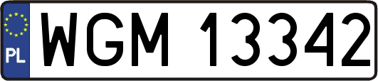 WGM13342