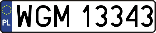 WGM13343