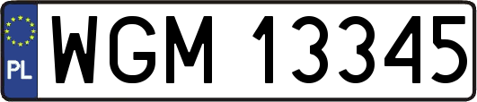 WGM13345