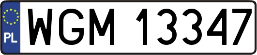 WGM13347