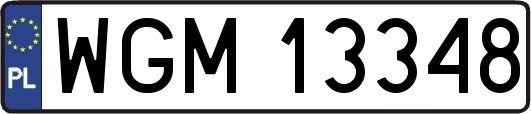 WGM13348