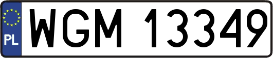 WGM13349