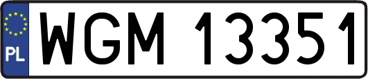 WGM13351