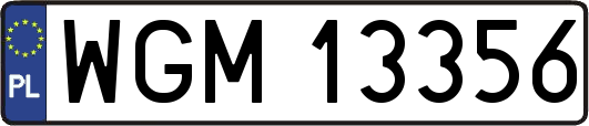 WGM13356