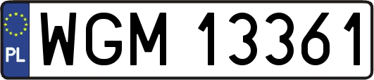 WGM13361