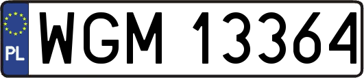WGM13364