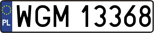 WGM13368
