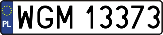 WGM13373