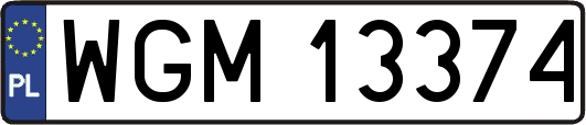 WGM13374
