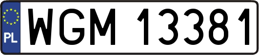WGM13381