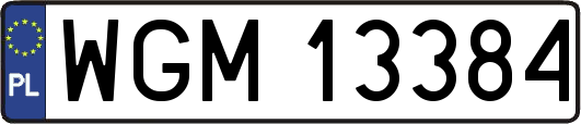 WGM13384