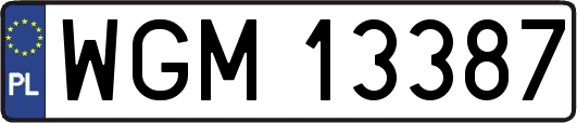 WGM13387