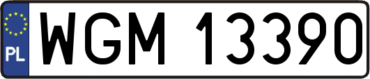 WGM13390