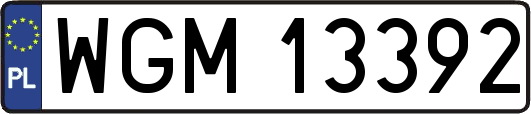 WGM13392