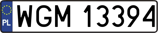 WGM13394