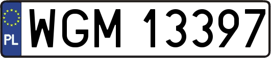 WGM13397
