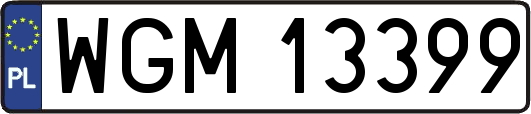 WGM13399