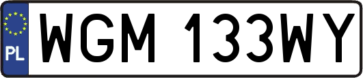 WGM133WY