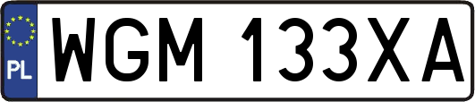 WGM133XA