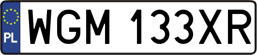 WGM133XR
