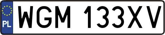 WGM133XV