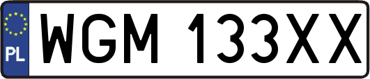 WGM133XX