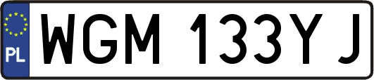WGM133YJ