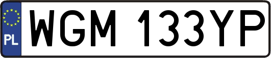 WGM133YP