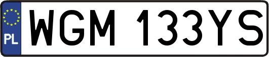 WGM133YS