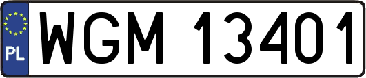 WGM13401
