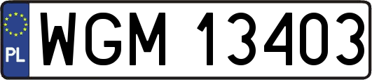 WGM13403