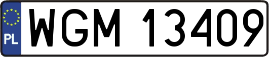 WGM13409