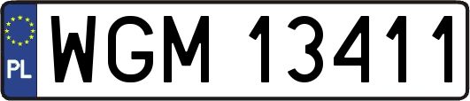WGM13411