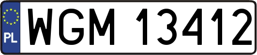 WGM13412